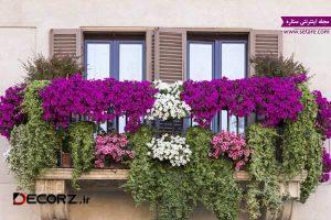عکس  ایجاد باغ در خانه با گیاهان بالا رونده