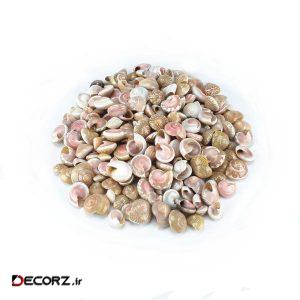 صدف و حلزون تزیینی مدل pink eye بسته ۸۰ گرمی