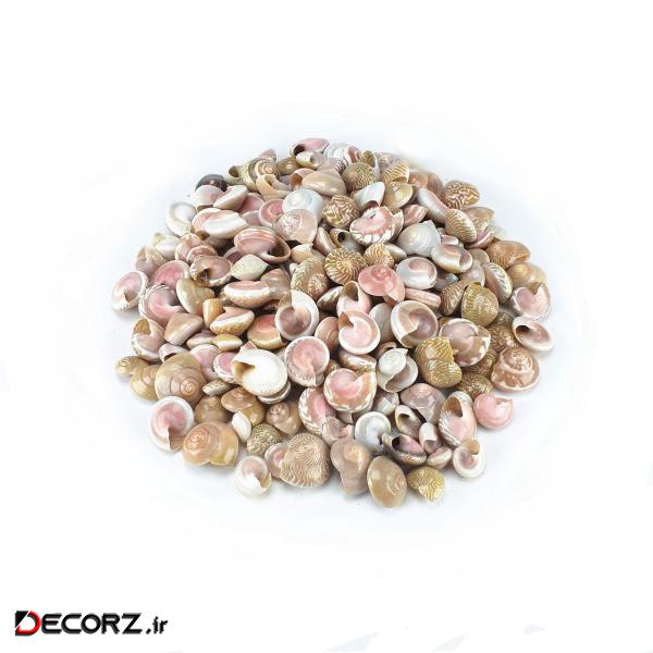 صدف و حلزون تزیینی مدل pink eye بسته 80 گرمی صدف و حلزون تزیینی مدل pink eye بسته 80 گرمی