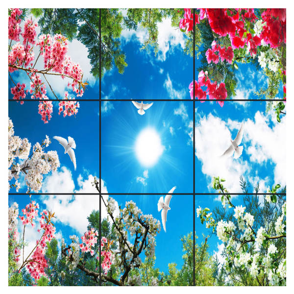 تایل سقفی آسمان مجازی طرح گل های رنگارنگ کد 0200 سایز 60x60 سانتی متر مجموعه 9 عددی تایل سقفی آسمان مجازی طرح گل های رنگارنگ کد 0200 سایز 60x60 سانتی متر مجموعه 9 عددی
