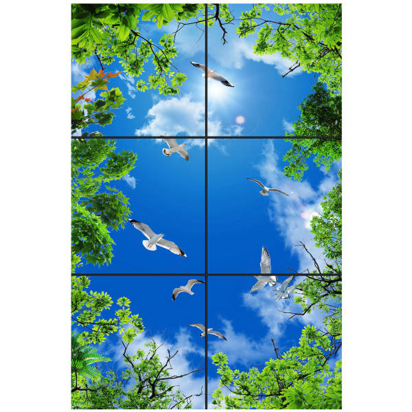 تایل سقفی آسمان مجازی طرح پرواز و درختان کد 0200 سایز 60x60 سانتی متر مجموعه 6 عددی تایل سقفی آسمان مجازی طرح پرواز و درختان کد 0200 سایز 60x60 سانتی متر مجموعه 6 عددی