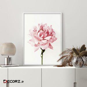 تابلو دیواری طرح تک گل رز کد NS 001 تابلو دیواری طرح تک گل رز کد NS 001