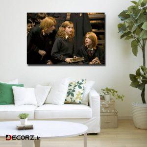 تابلوشاسی طرح هری پاتر کد ۲۴ تابلوشاسی طرح هری پاتر کد ۲۴