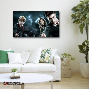 تابلوشاسی طرح هری پاتر کد ۲۷ تابلوشاسی طرح هری پاتر کد ۲۷