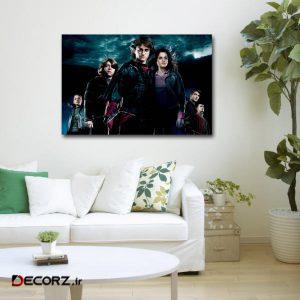 تابلوشاسی طرح هری پاتر کد ۳۰ تابلوشاسی طرح هری پاتر کد ۳۰