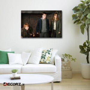 تابلوشاسی طرح هری پاتر کد ۳۱ تابلوشاسی طرح هری پاتر کد ۳۱