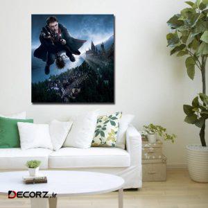 تابلوشاسی طرح هری پاتر کد ۳۵ تابلوشاسی طرح هری پاتر کد ۳۵