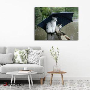 تابلوشاسی طرح چتر کد ۷ تابلوشاسی طرح چتر کد ۷