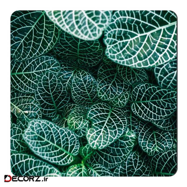 مگنت طرح برگ کد NIM74