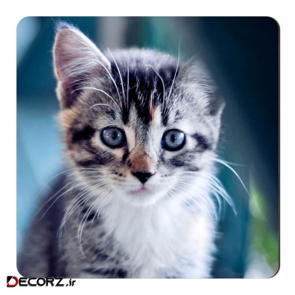 مگنت طرح بچه گربه کد NIM110