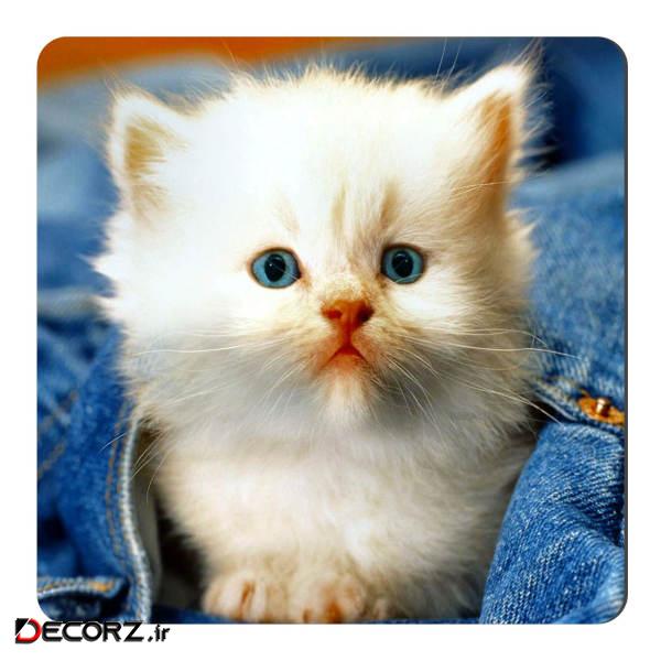 مگنت طرح بچه گربه کد NIM113