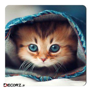 مگنت طرح بچه گربه کد NIM115