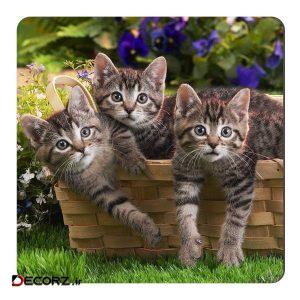 مگنت طرح بچه گربه کد NIM117
