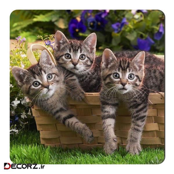 مگنت طرح بچه گربه کد NIM117
