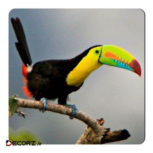 مگنت طرح توکان کد NIM118