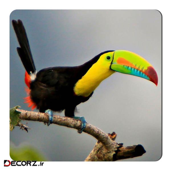 مگنت طرح توکان کد NIM118