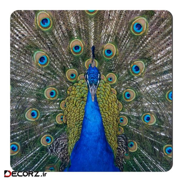 مگنت طرح طاووس کد NIM76
