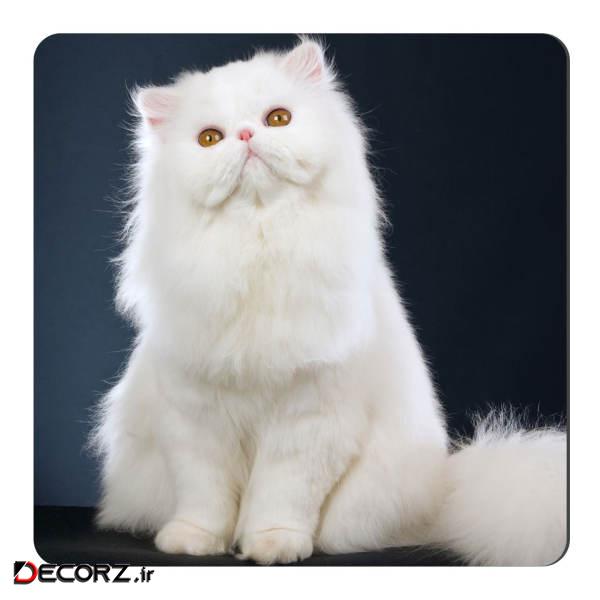 مگنت طرح گربه پرشین کد NIM116