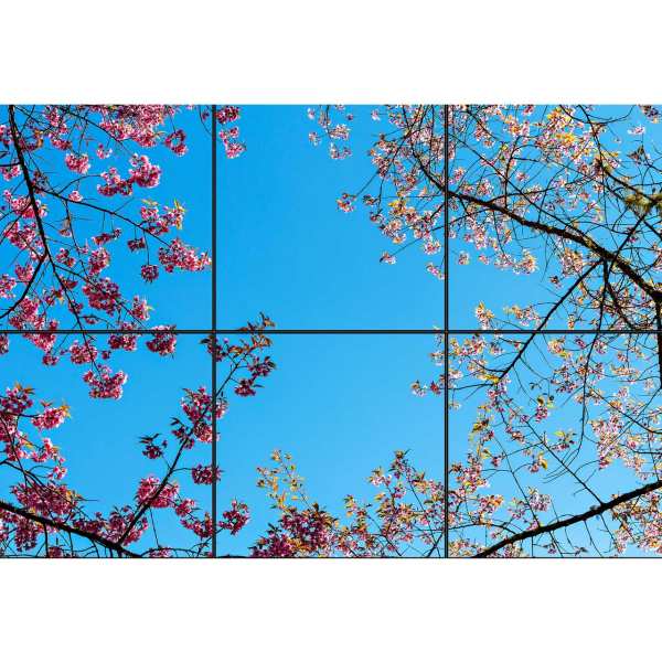 تایل سقفی آسمان مجازی طرح شاخه و برگ کد 180 سایز 60x60 سانتی متر مجموعه 6 عددی تایل سقفی آسمان مجازی طرح شاخه و برگ کد 180 سایز 60x60 سانتی متر مجموعه 6 عددی