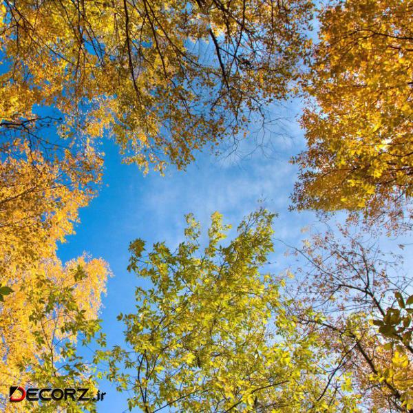 تایل سقفی آسمان مجازی مدل AZ008 سایز 60*60 سانتی متر تایل سقفی آسمان مجازی مدل AZ008 سایز 60*60 سانتی متر