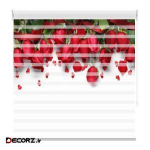 پرده زبرا مدل TD-28 سایز ۲۰۰×۲۵۰ سانتی‌ متر