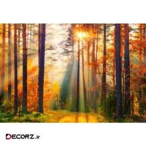 پوستر دیواری طرح جنگل پاییزی کد pl131 پوستر دیواری طرح جنگل پاییزی کد pl131