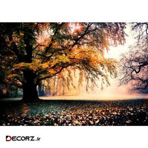 پوستر دیواری طرح درخت پاییزی کد pl134 پوستر دیواری طرح درخت پاییزی کد pl134