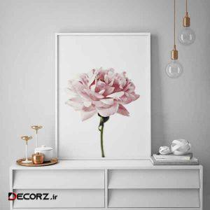 تابلو سالی وود طرح شاخه گل پائونیا مدل T130205