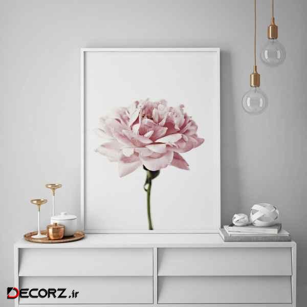 تابلو سالی وود طرح شاخه گل پائونیا مدل T130205