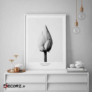 تابلو سالی وود طرح غنچه گل لوتوس مدل T130208