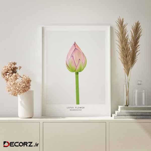 تابلو سالی وود طرح غنچه گل نیلوفر آبی مدل T130202