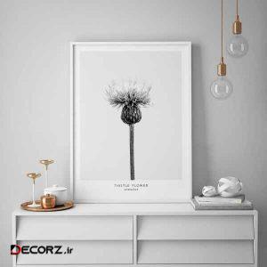 تابلو سالی وود طرح گل خار مدل T130209