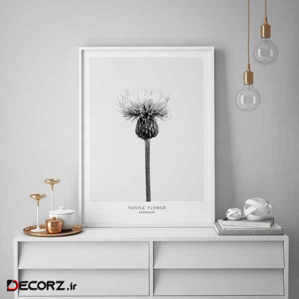 تابلو سالی وود طرح گل خار مدل T130209