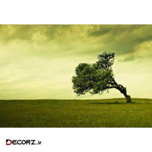 تابلو شاسی طرح منظره درخت باد مدل T1216