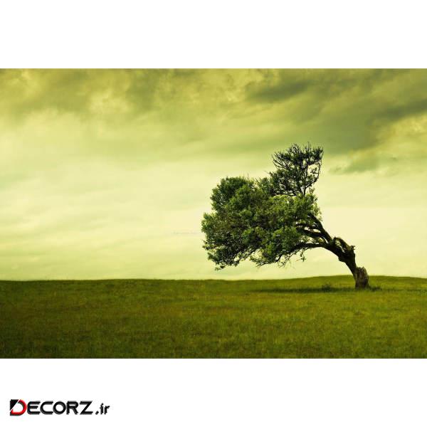 تابلو شاسی طرح منظره درخت باد مدل T1216