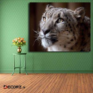 تابلو شاسی مدل پلنگ برفی کد ۱۳