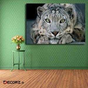 تابلو شاسی مدل پلنگ برفی کد ۱۴