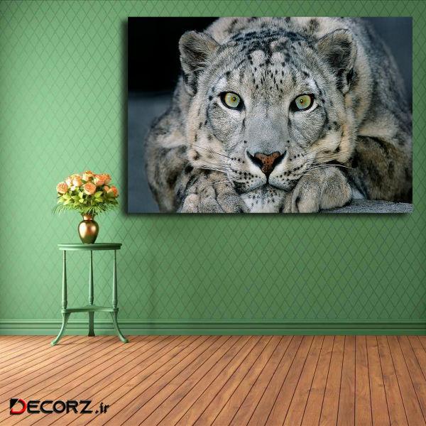 تابلو شاسی مدل پلنگ برفی کد 14