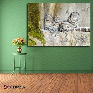 تابلو شاسی مدل پلنگ برفی کد ۱۵