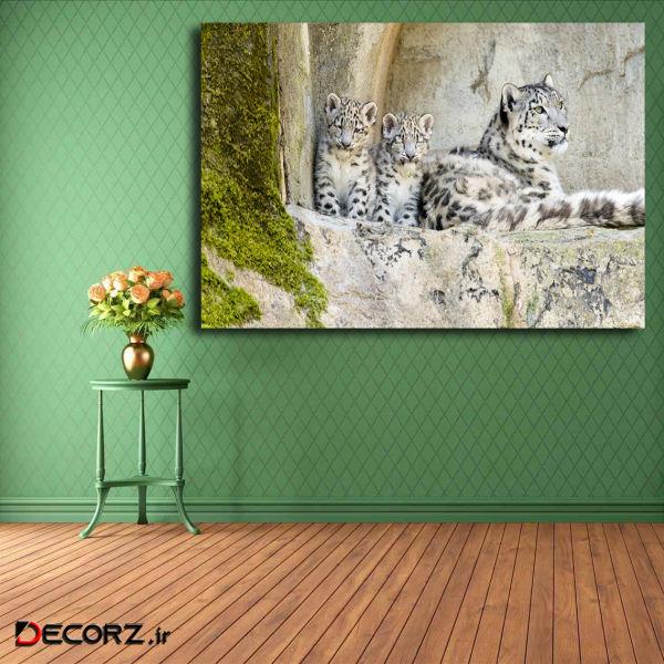 تابلو شاسی مدل پلنگ برفی کد 15