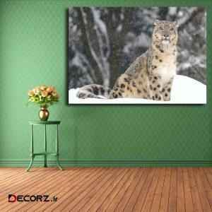 تابلو شاسی مدل پلنگ برفی کد ۱۶