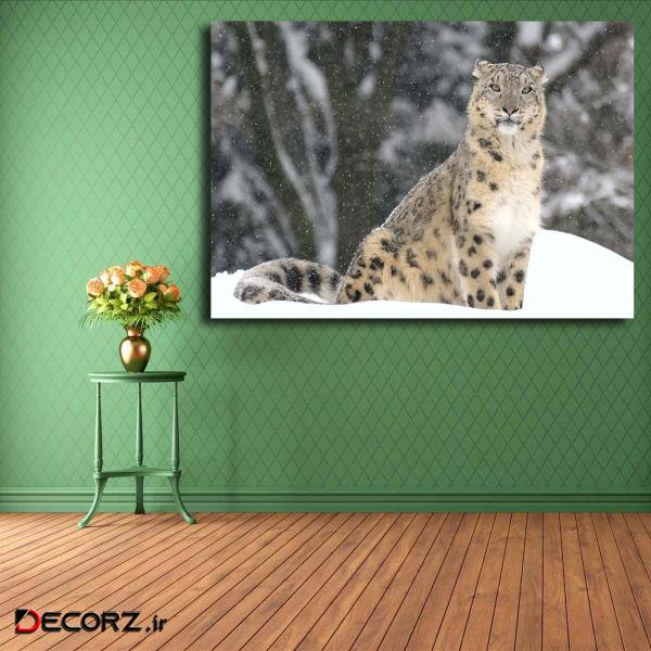 تابلو شاسی مدل پلنگ برفی کد 16