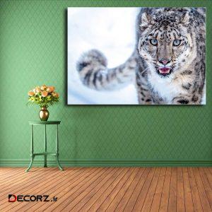 تابلو شاسی مدل پلنگ برفی کد ۱۸