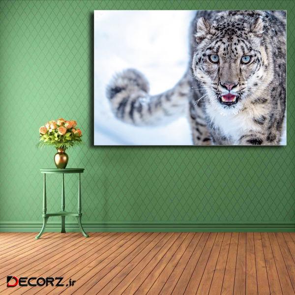 تابلو شاسی مدل پلنگ برفی کد 18