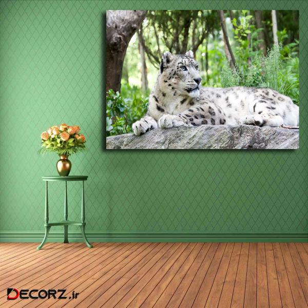 تابلو شاسی مدل پلنگ برفی کد 20