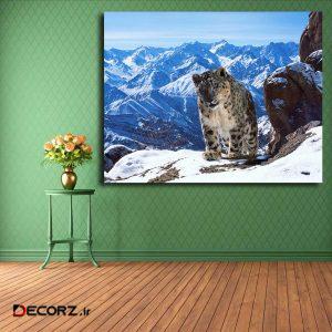 تابلو شاسی مدل پلنگ برفی کد ۲۱