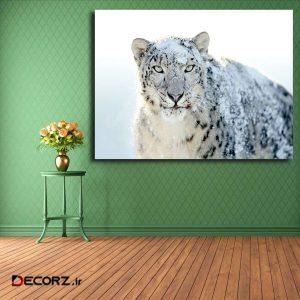 تابلو شاسی مدل پلنگ برفی کد ۲۴