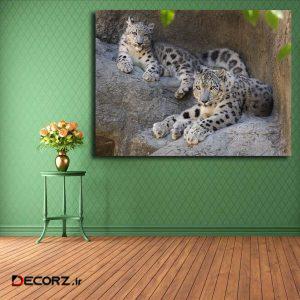 تابلو شاسی مدل پلنگ برفی کد ۲۵