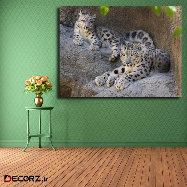 تابلو شاسی مدل پلنگ برفی کد 25