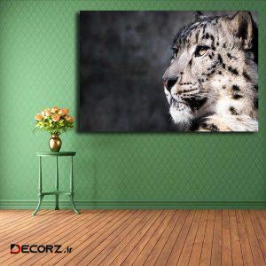 تابلو شاسی مدل پلنگ برفی کد ۲۶